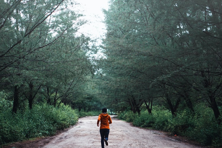 Jogger runs down wooded path.